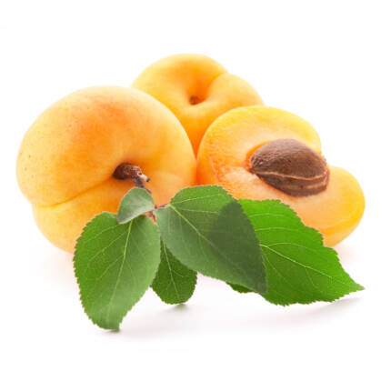 Apricot