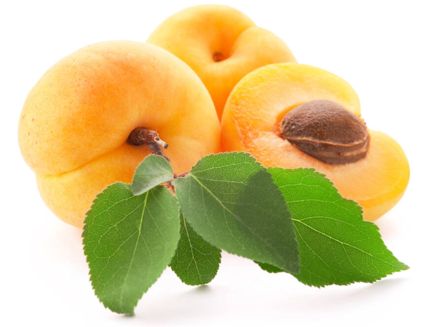 Apricot