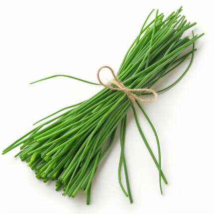 Chives