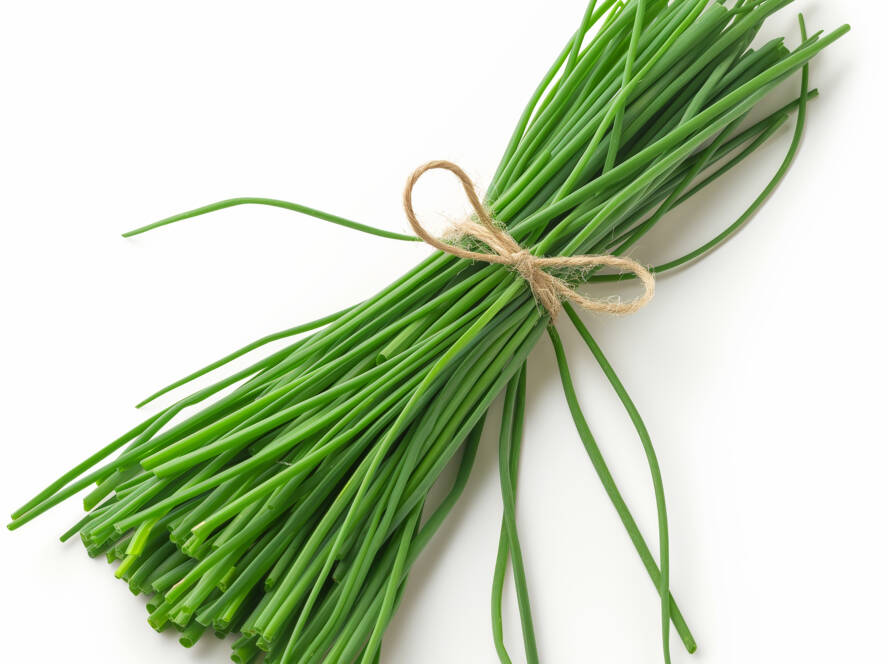 Chives