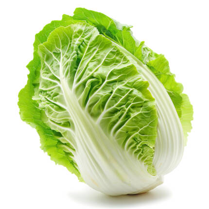 Lettuce