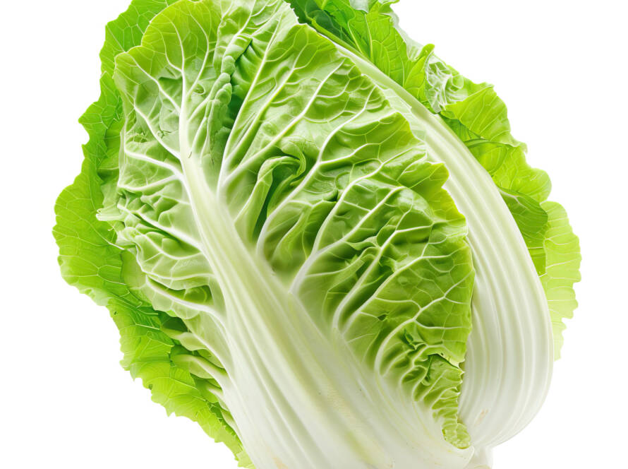 Lettuce