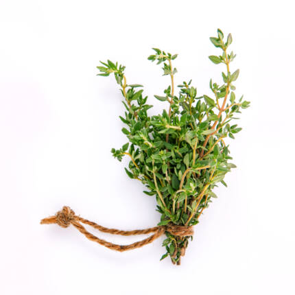 Rosemary