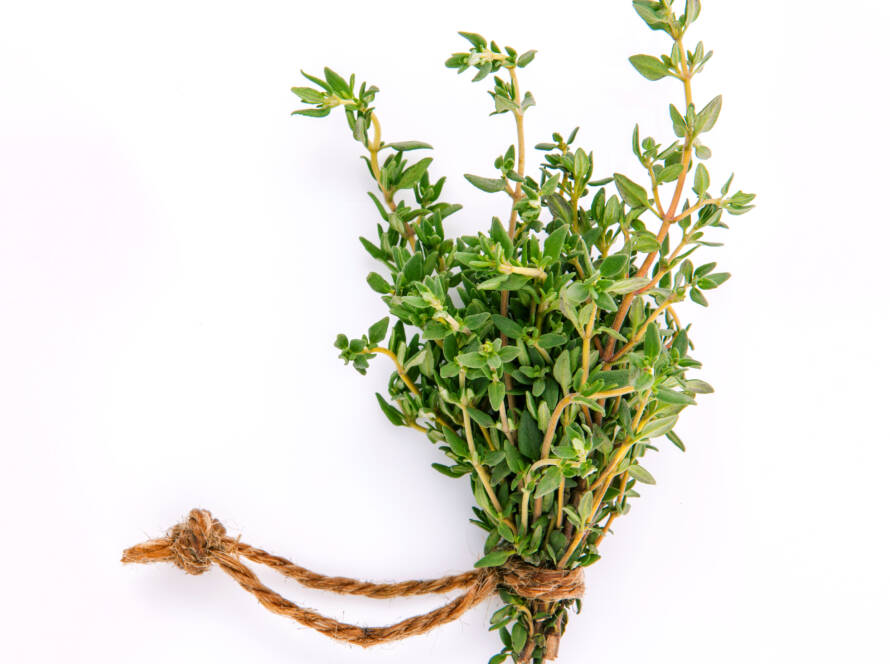 Rosemary