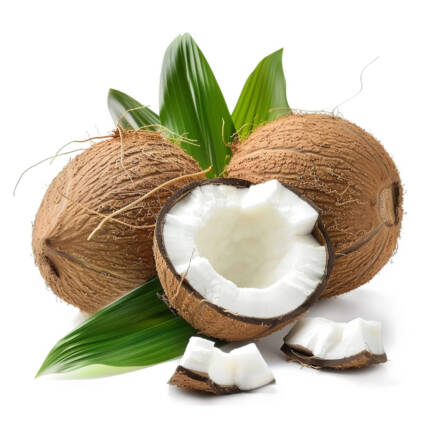 Coconut