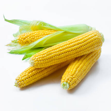 Sweet Corn