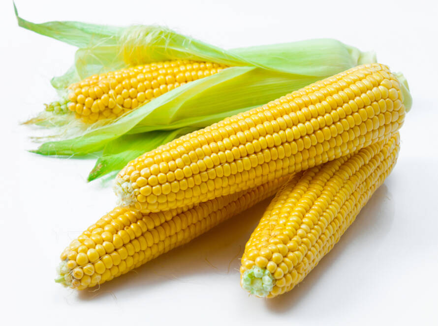 Sweet Corn