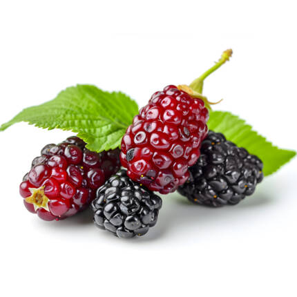 Raspberry