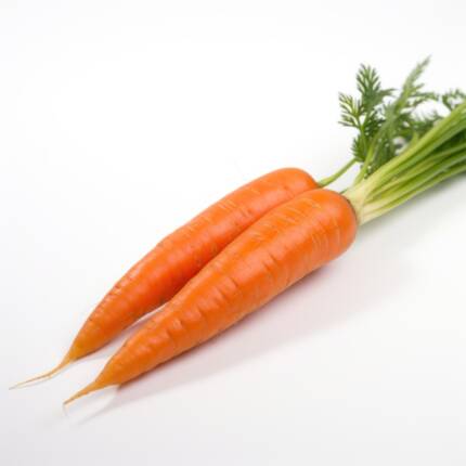 Carrot