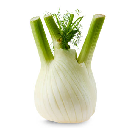 Fennel
