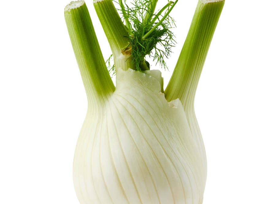 Fennel