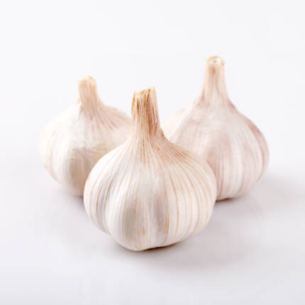 Garlic