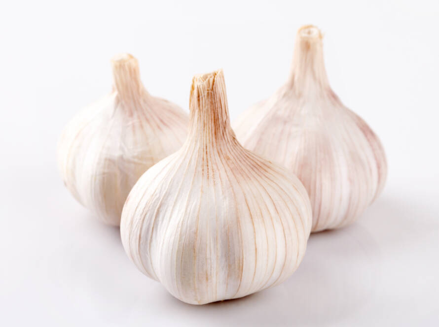 Garlic