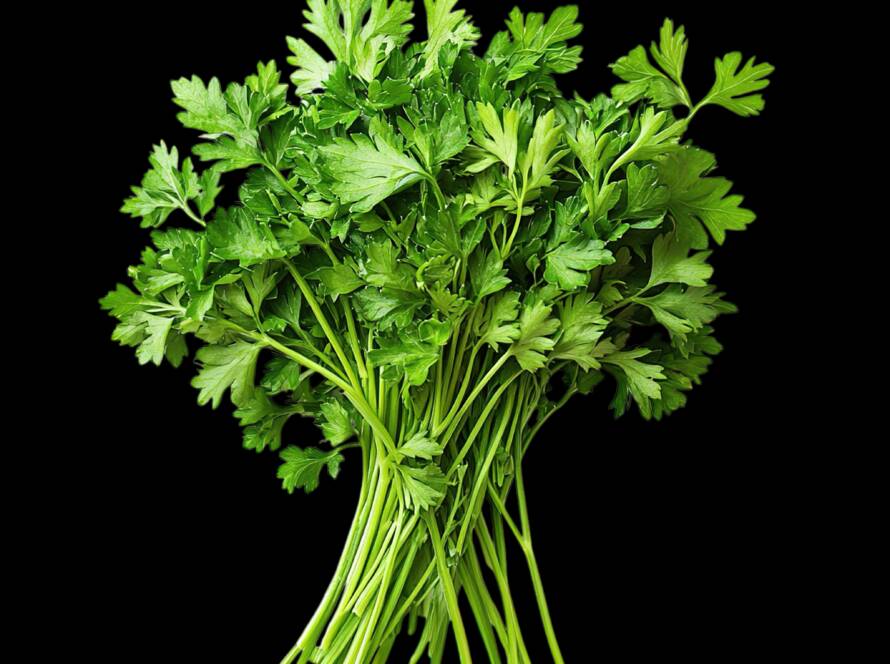 Parsley