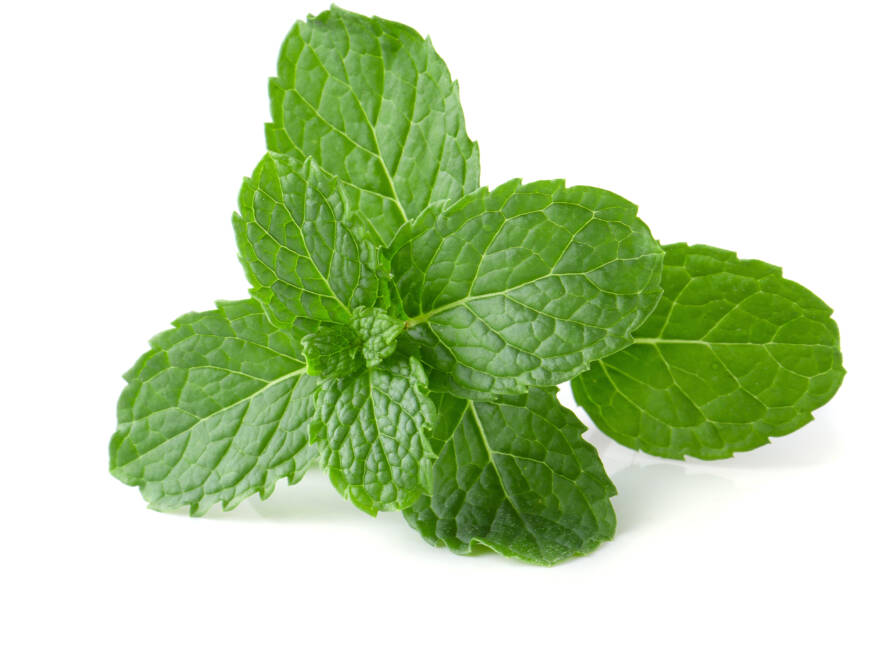 Mint
