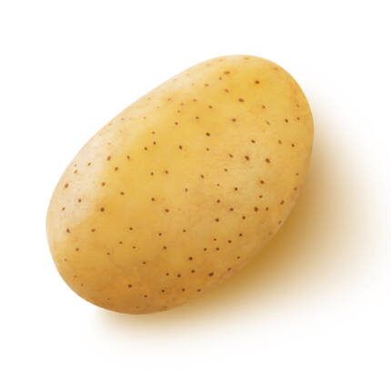Potato
