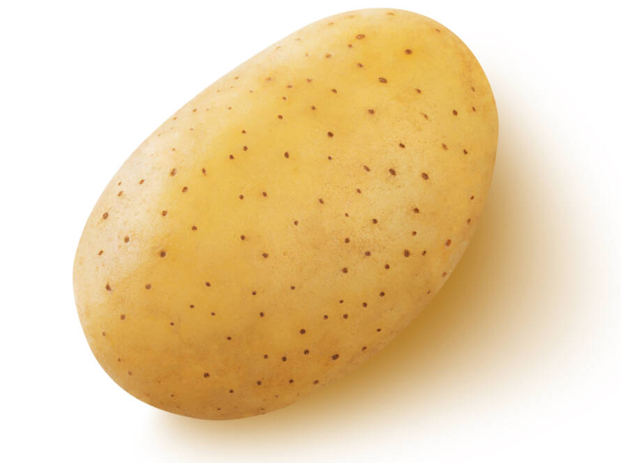 Potato