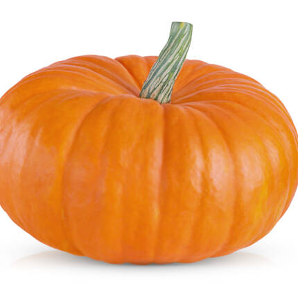 Pumpkin