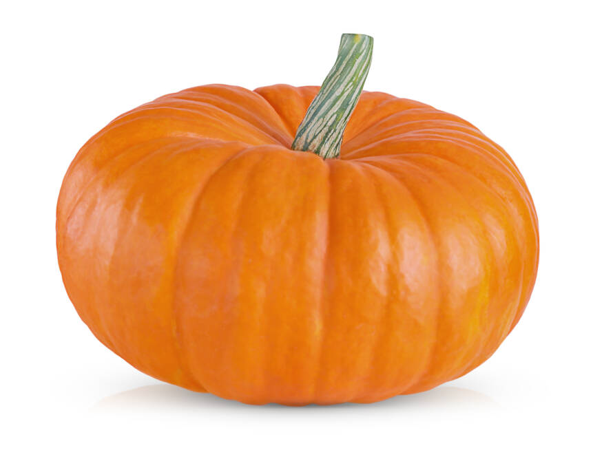 Pumpkin