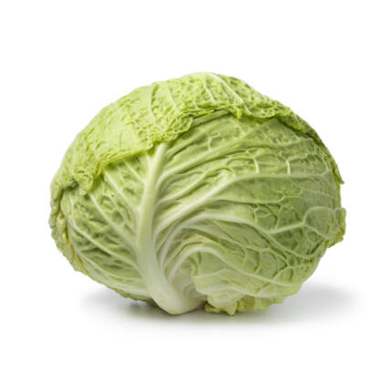 Cabbage