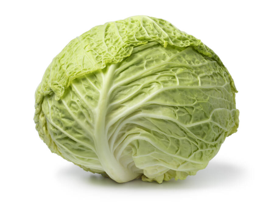 Cabbage