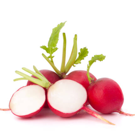 Garden radish