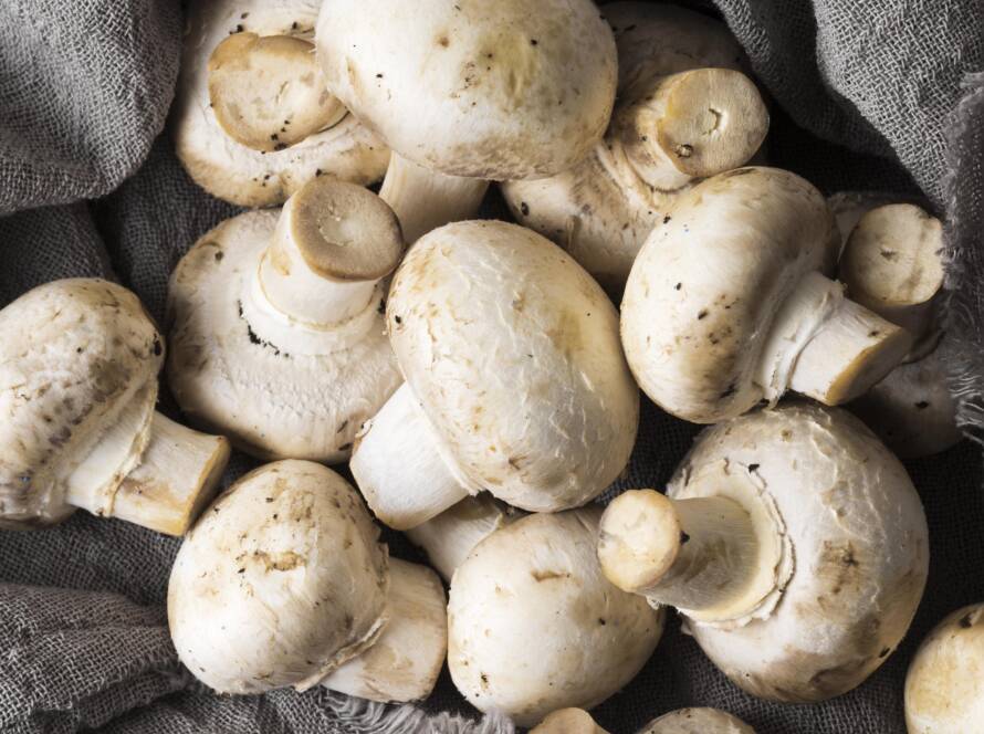 Mushrooms